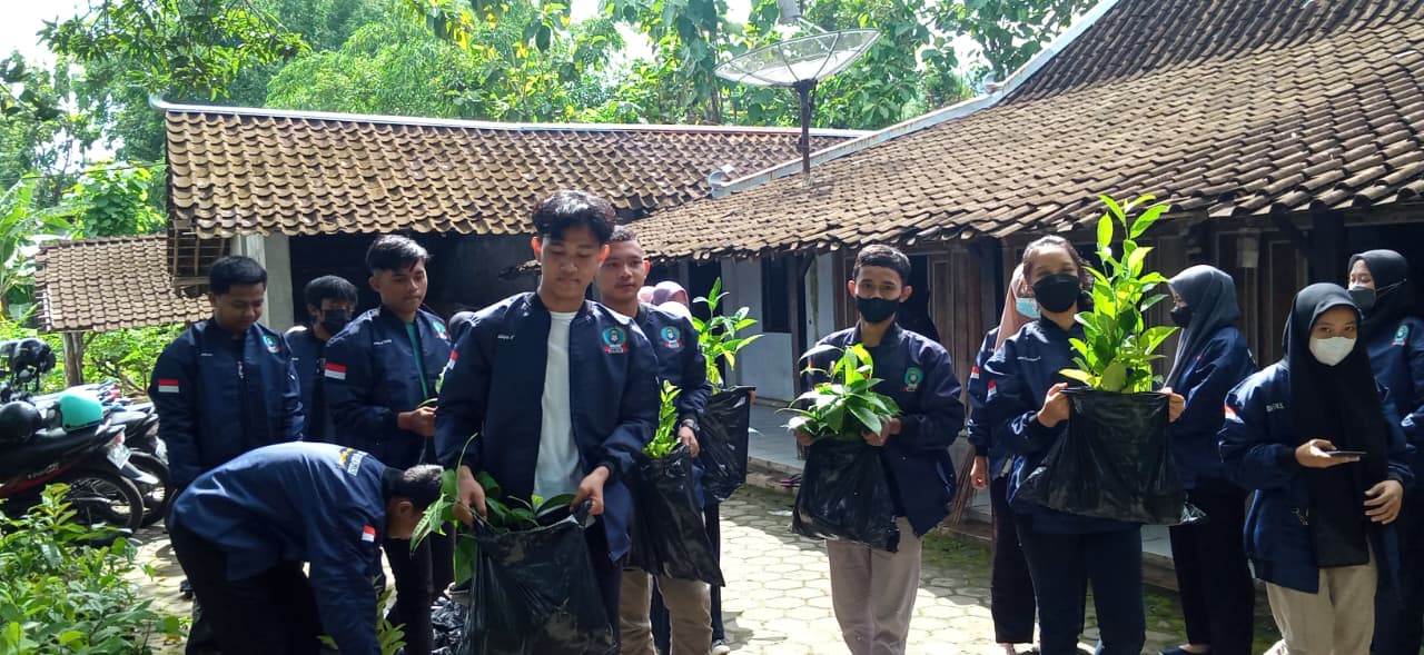 Aksi Awal Tahun, Wonogiri Youth Forum Dorong Keberlanjutan Lingkungan dan Ketahanan Pangan